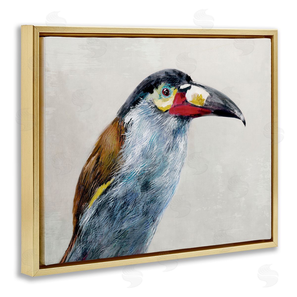 Jacob Q Black Billed Mountain Toucan Canvas Wall Art Print