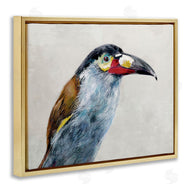 Jacob Q | Black Billed Mountain Toucan