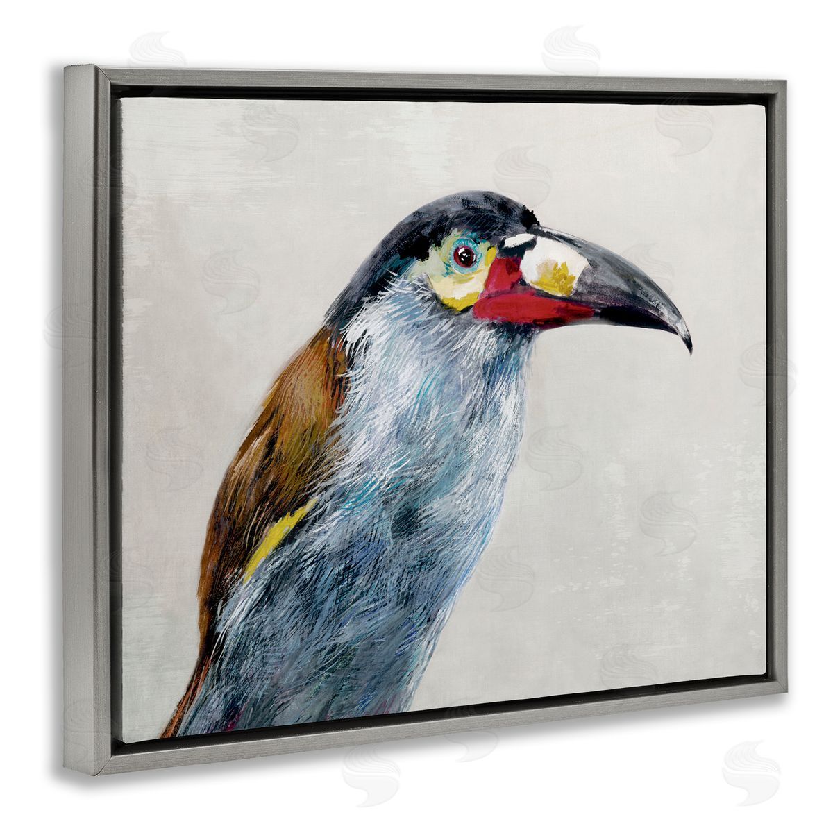 Jacob Q Black Billed Mountain Toucan Canvas Wall Art Print