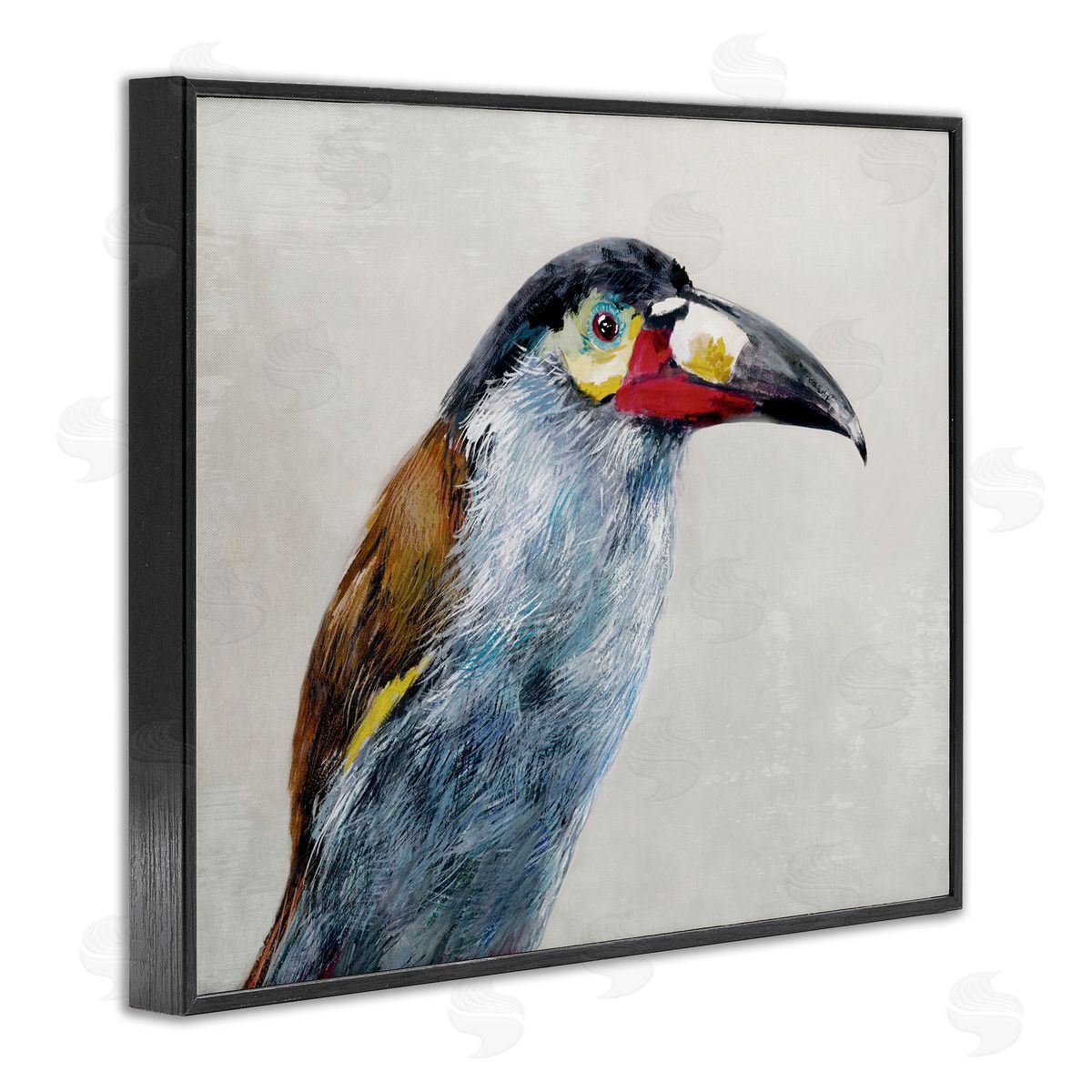 Jacob Q Black Billed Mountain Toucan Canvas Wall Art Print