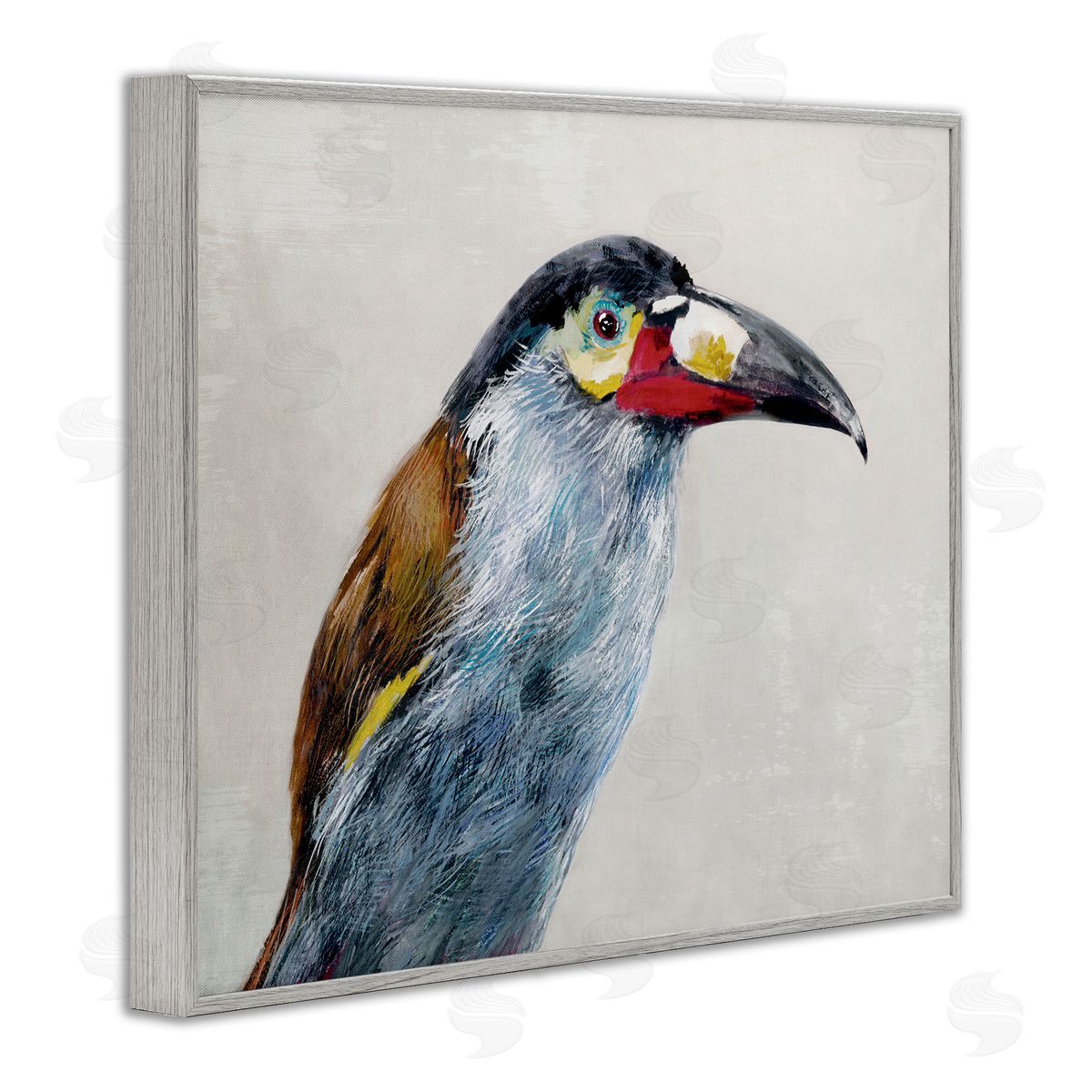 Jacob Q Black Billed Mountain Toucan Canvas Wall Art Print