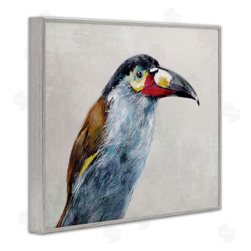 Jacob Q | Black Billed Mountain Toucan