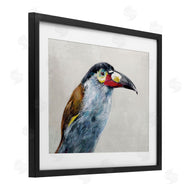 Jacob Q | Black Billed Mountain Toucan