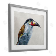 Jacob Q | Black Billed Mountain Toucan