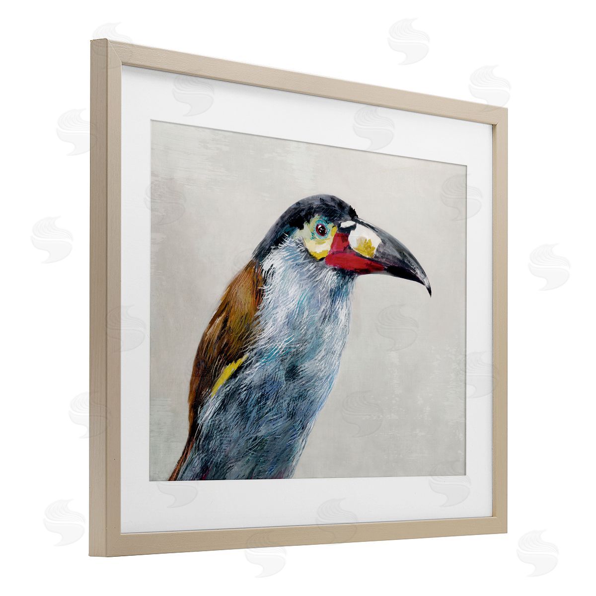Jacob Q Black Billed Mountain Toucan Canvas Wall Art Print