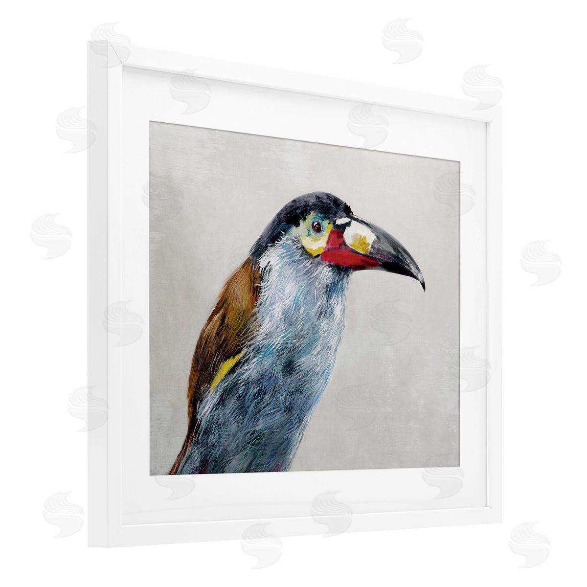 Jacob Q Black Billed Mountain Toucan Canvas Wall Art Print