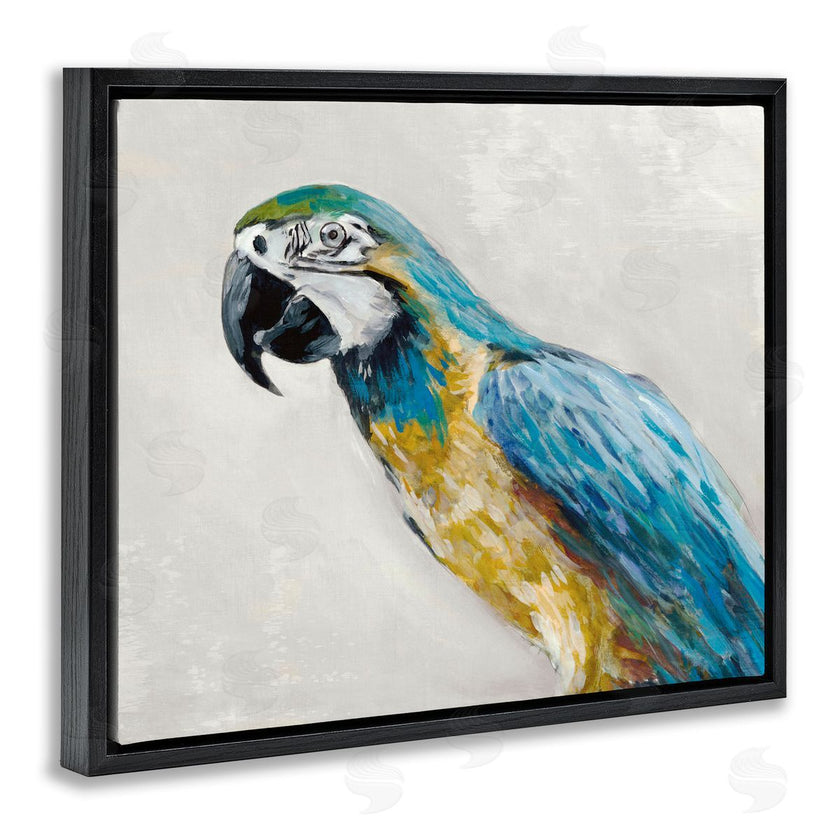 Jacob Q | Polly Parrot Portrait