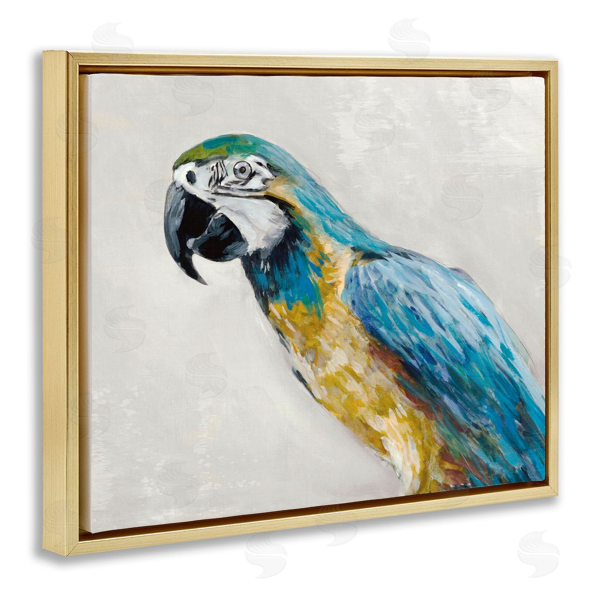 Jacob Q Polly Parrot Portrait Canvas Wall Art Print