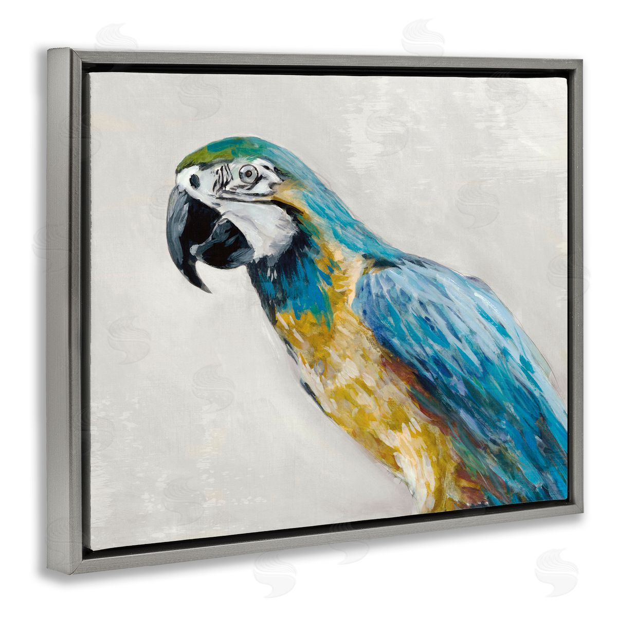 Jacob Q Polly Parrot Portrait Canvas Wall Art Print