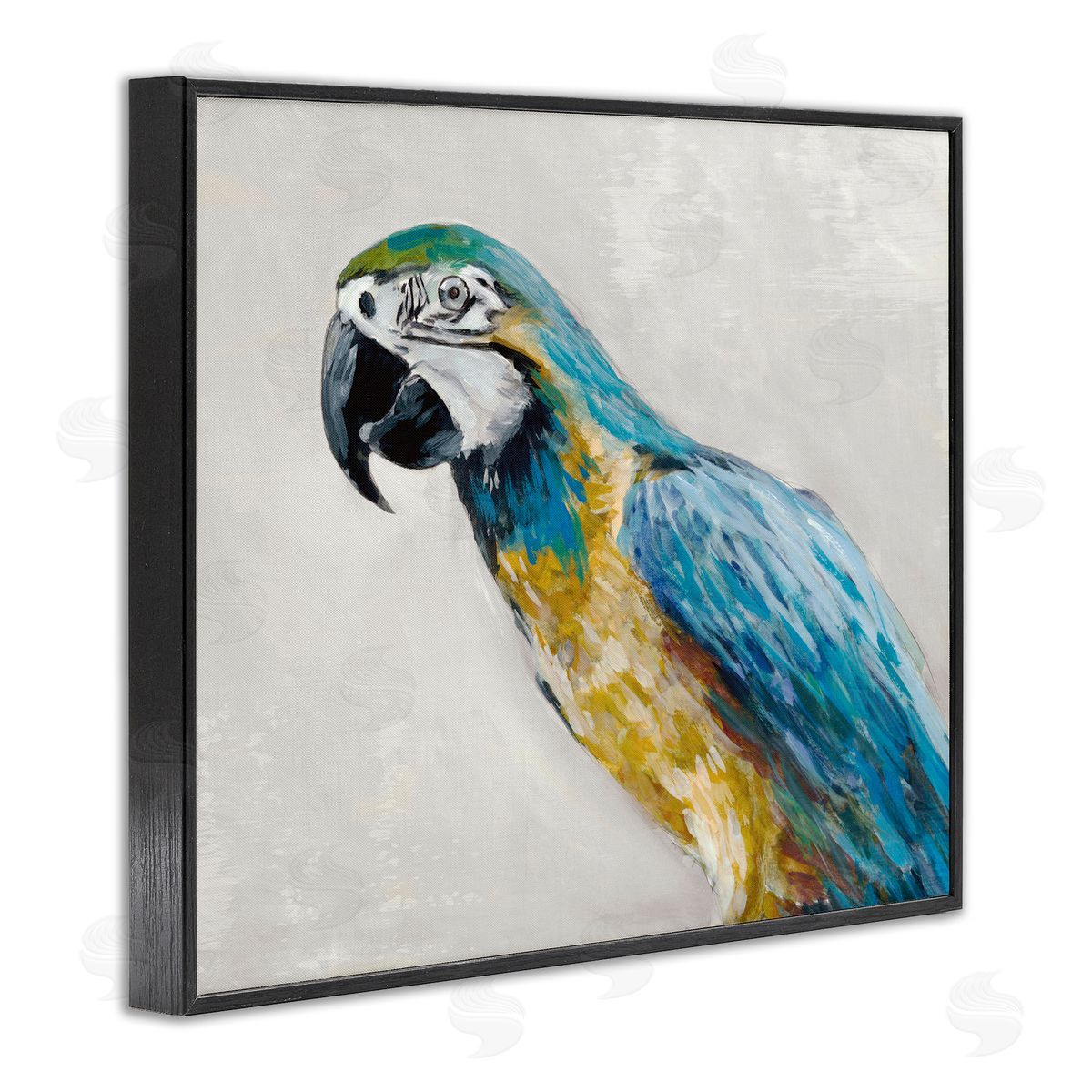 Jacob Q Polly Parrot Portrait Canvas Wall Art Print