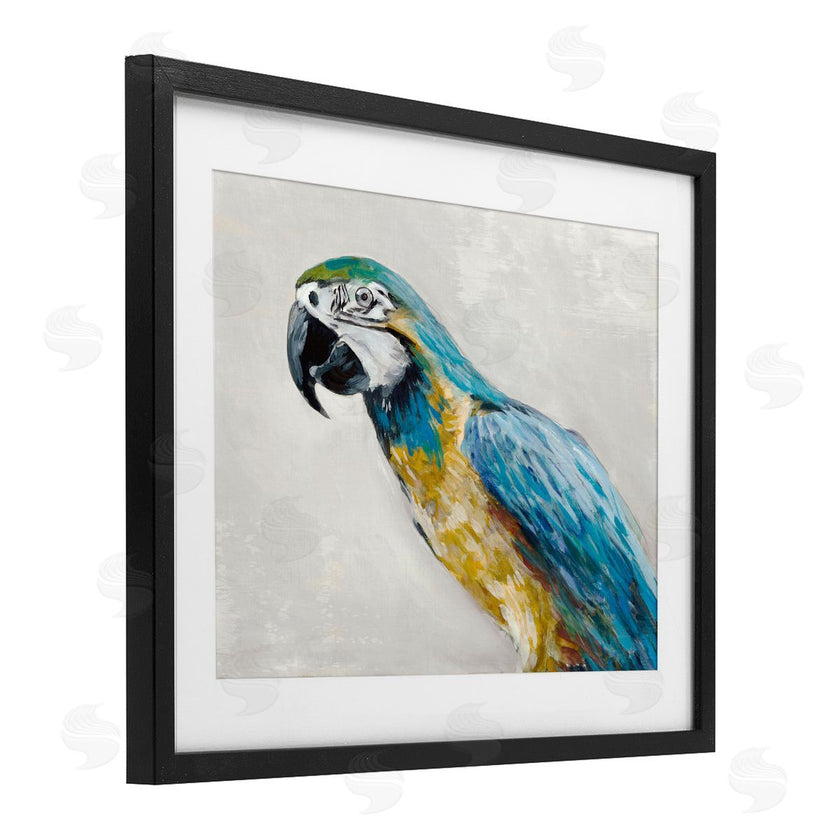 Jacob Q | Polly Parrot Portrait