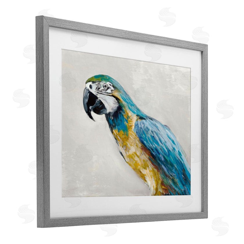 Jacob Q | Polly Parrot Portrait