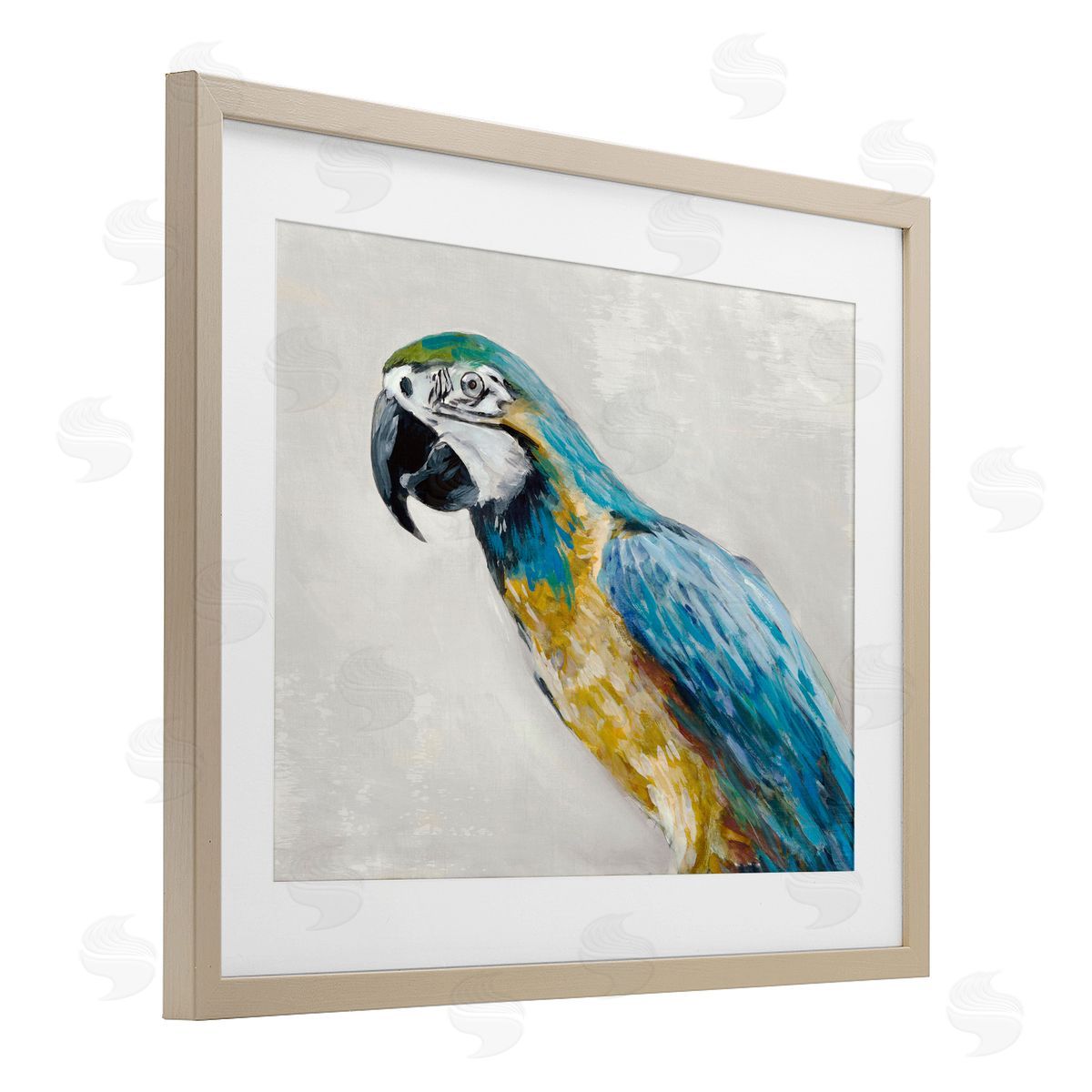 Jacob Q Polly Parrot Portrait Canvas Wall Art Print