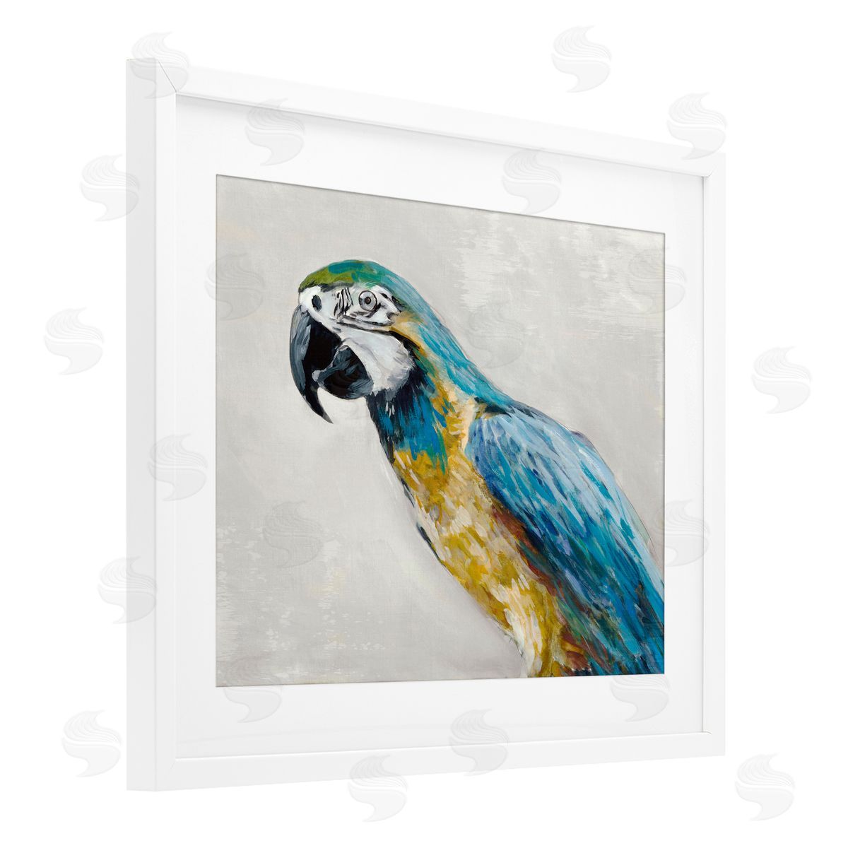 Jacob Q Polly Parrot Portrait Canvas Wall Art Print
