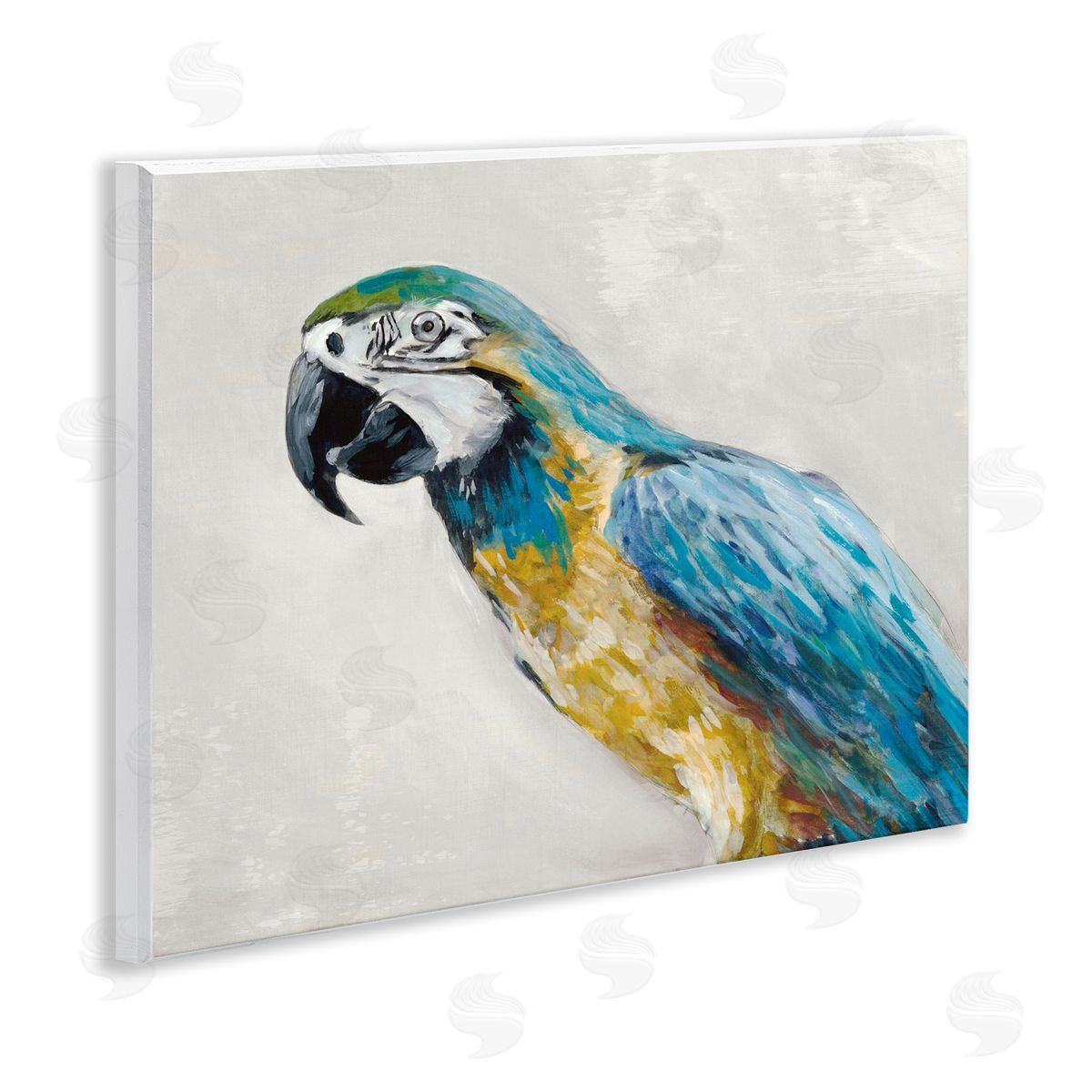 Jacob Q Polly Parrot Portrait Canvas Wall Art Print