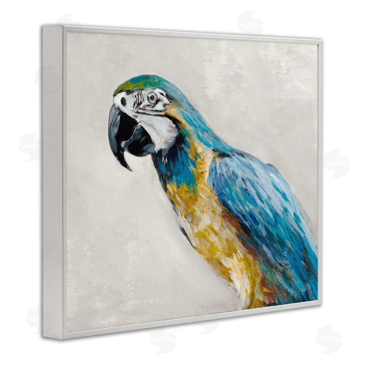 Jacob Q Polly Parrot Portrait Canvas Wall Art Print