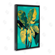 1x | Organic Banana Leaves