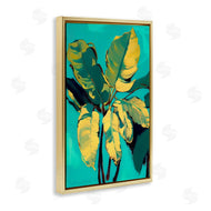 1x | Organic Banana Leaves