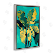 1x | Organic Banana Leaves