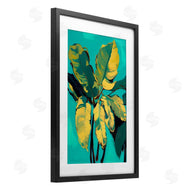 1x | Organic Banana Leaves