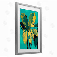 1x | Organic Banana Leaves