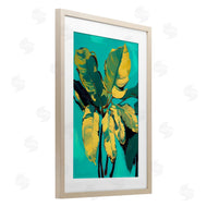 1x | Organic Banana Leaves