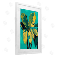 1x | Organic Banana Leaves