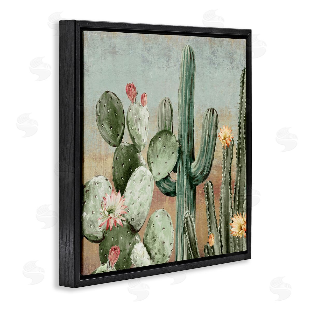 Luna Mavis Cacti Blooms Among Thorns Canvas Wall Art Print