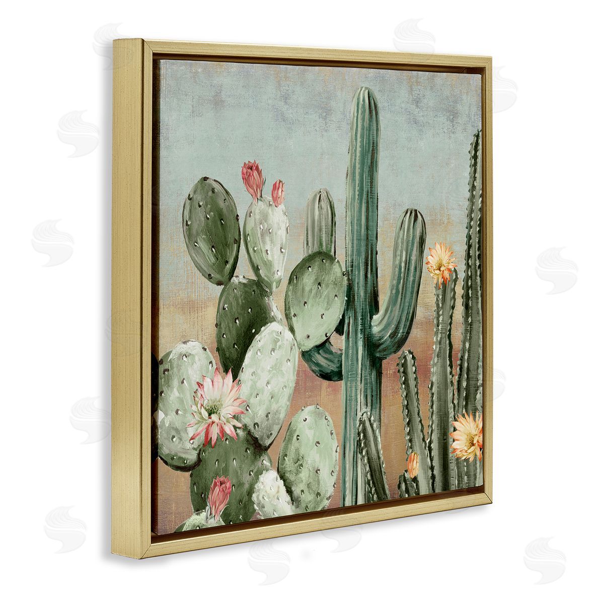 Luna Mavis Cacti Blooms Among Thorns Canvas Wall Art Print