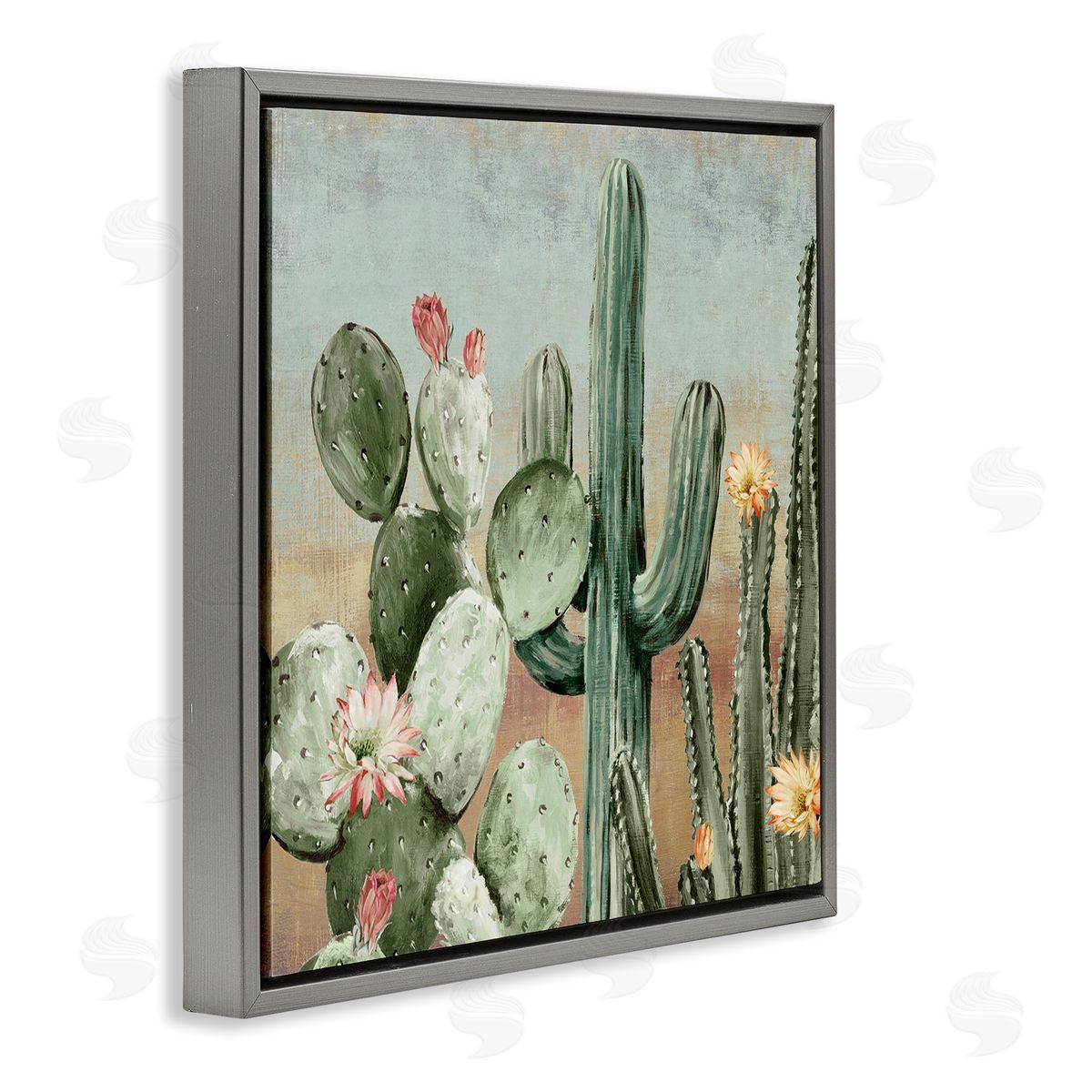 Luna Mavis Cacti Blooms Among Thorns Canvas Wall Art Print