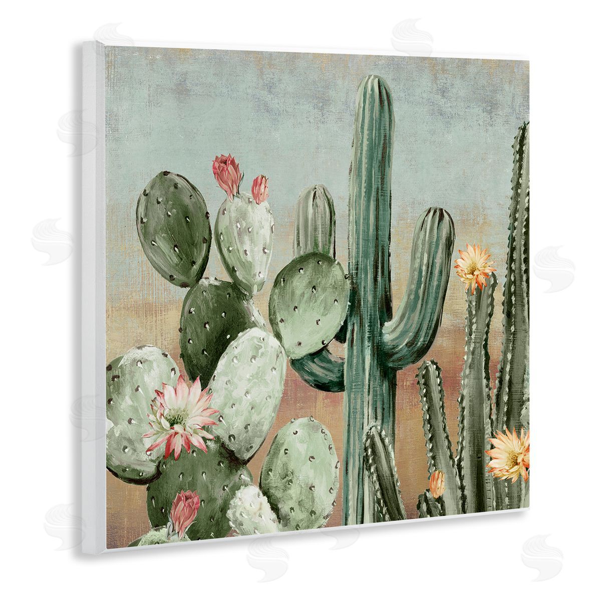 Luna Mavis Cacti Blooms Among Thorns Canvas Wall Art Print