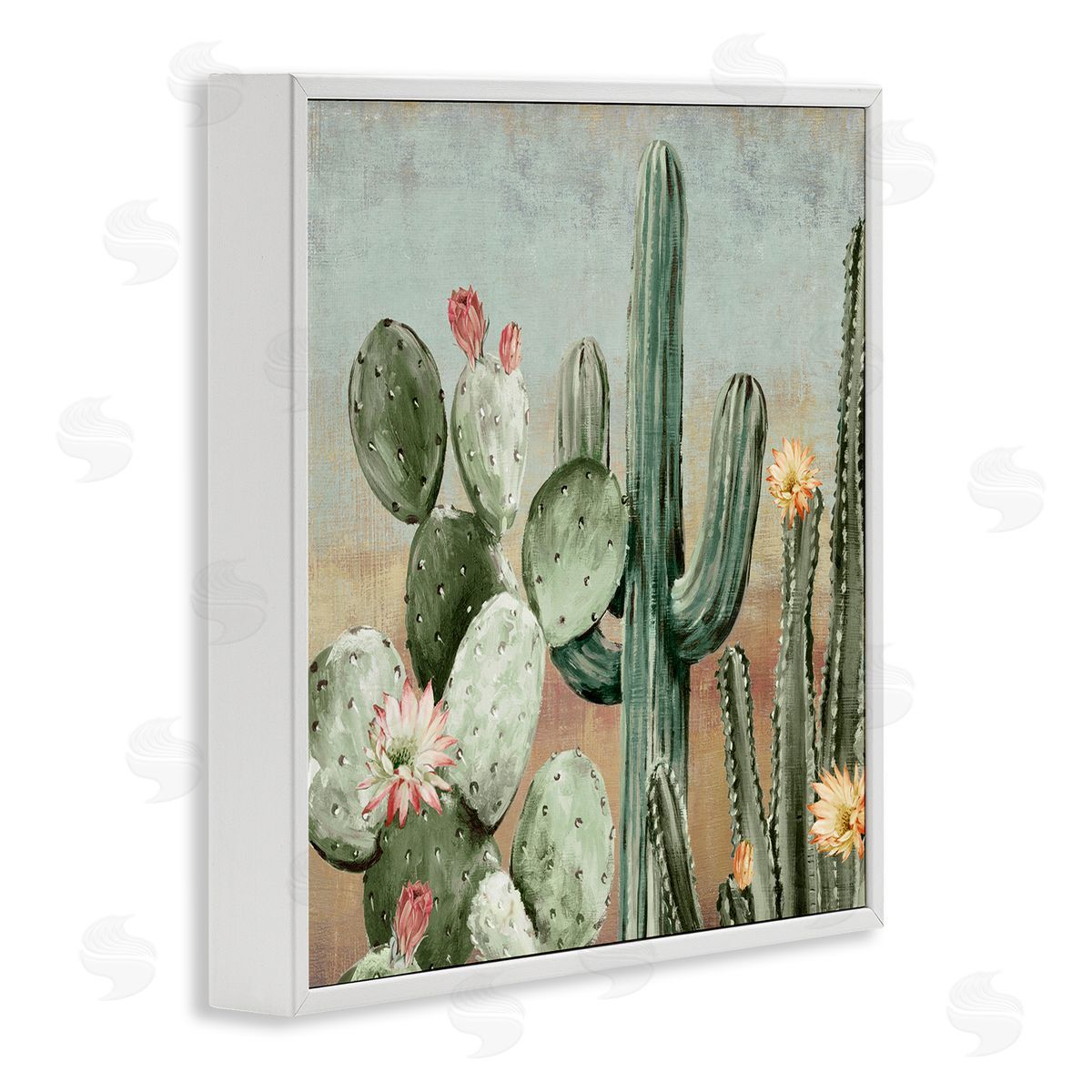 Luna Mavis Cacti Blooms Among Thorns Canvas Wall Art Print