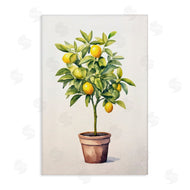 Andrea Haase | Citrus Tree Serenade