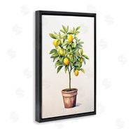 Andrea Haase | Citrus Tree Serenade