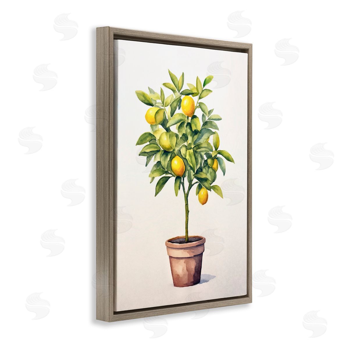 Andrea Haase Citrus Tree Serenade Canvas Wall Art Print