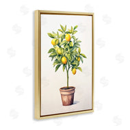Andrea Haase | Citrus Tree Serenade