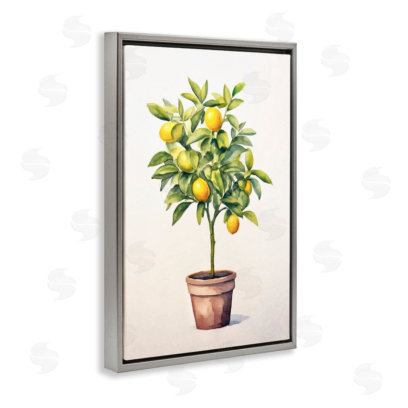 Andrea Haase | Citrus Tree Serenade