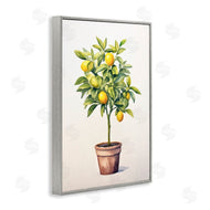 Andrea Haase | Citrus Tree Serenade