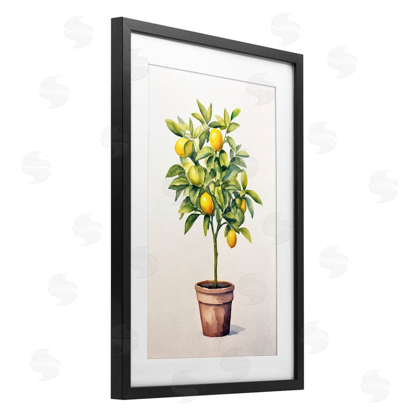 Andrea Haase | Citrus Tree Serenade
