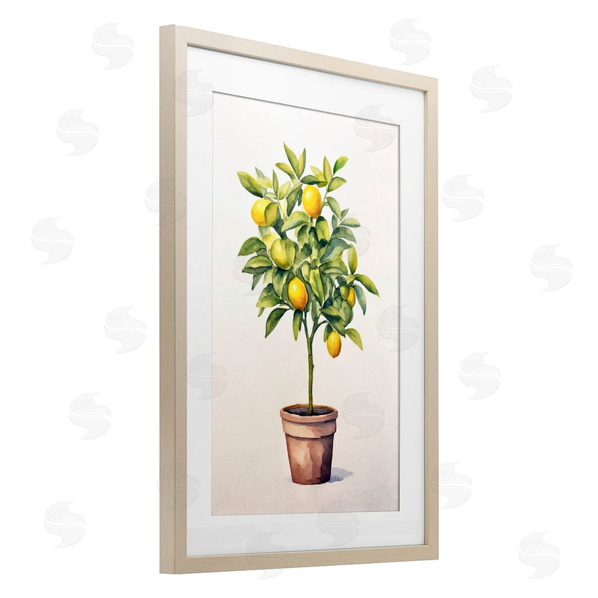 Andrea Haase | Citrus Tree Serenade