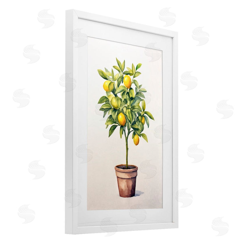 Andrea Haase | Citrus Tree Serenade