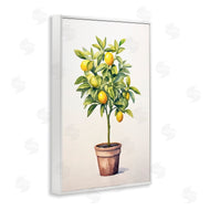 Andrea Haase | Citrus Tree Serenade