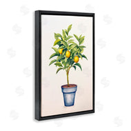 Andrea Haase | Citrus Serenade Plant