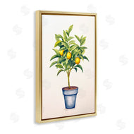 Andrea Haase | Citrus Serenade Plant