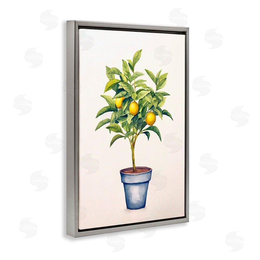 Andrea Haase | Citrus Serenade Plant
