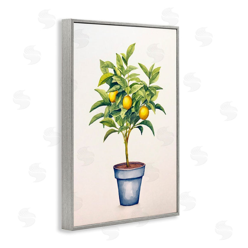 Andrea Haase | Citrus Serenade Plant