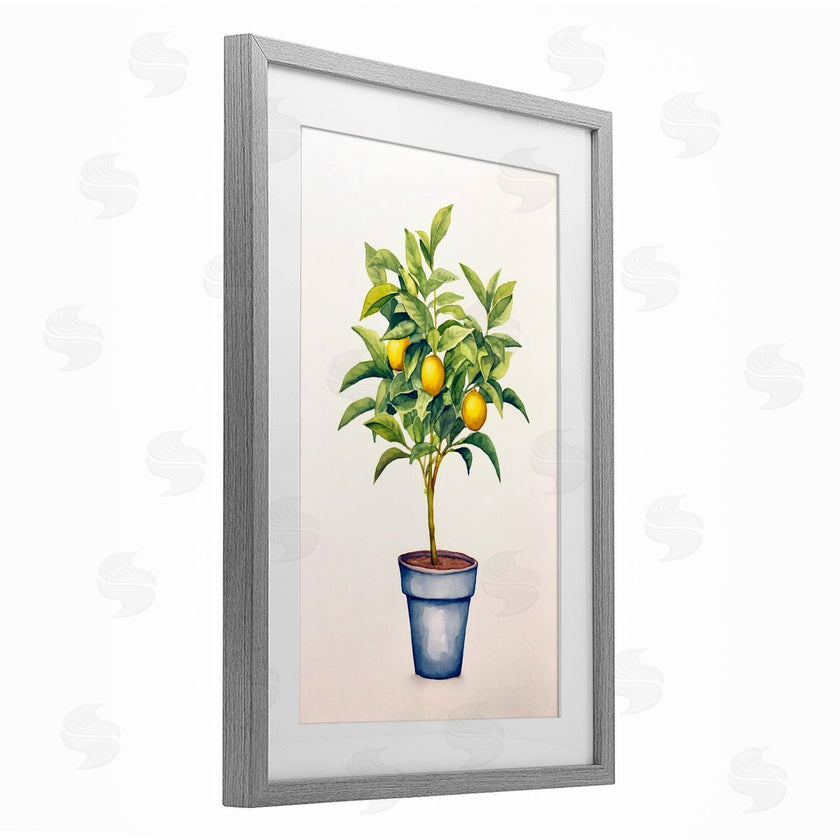 Andrea Haase | Citrus Serenade Plant
