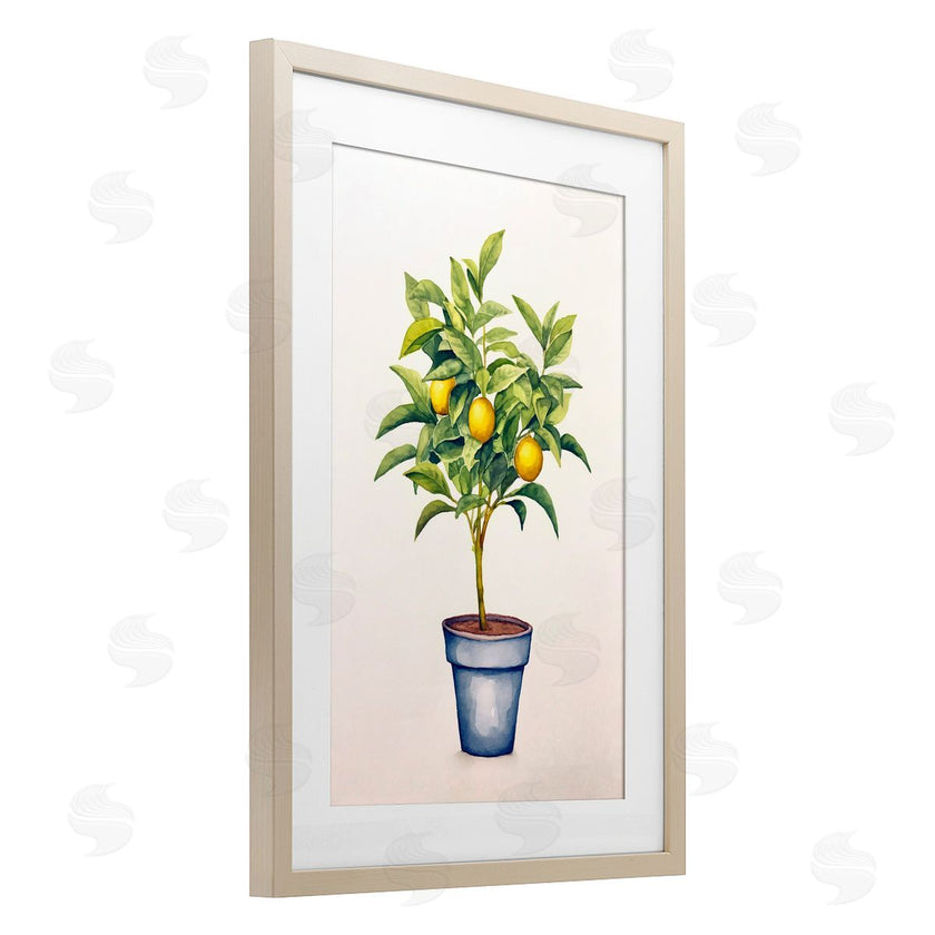 Andrea Haase | Citrus Serenade Plant