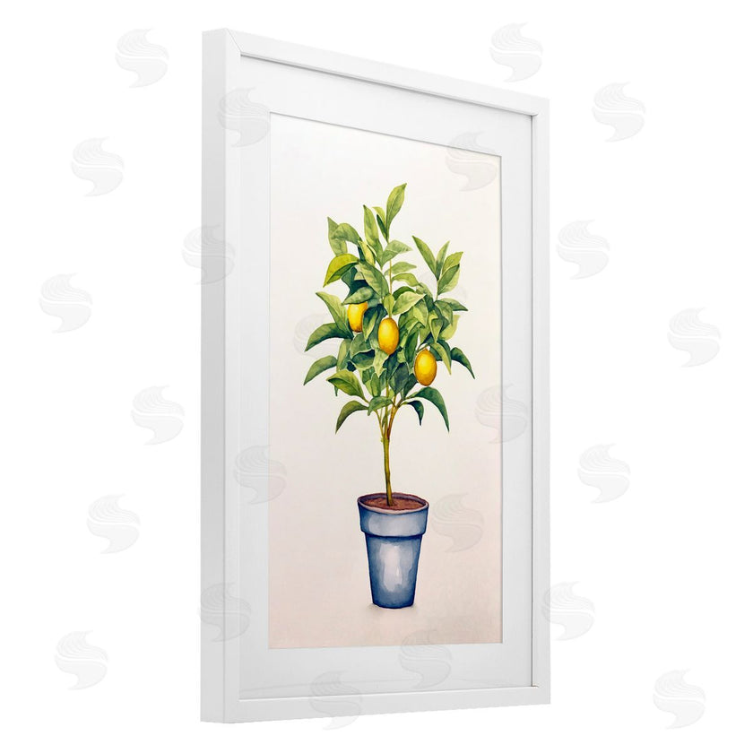 Andrea Haase | Citrus Serenade Plant