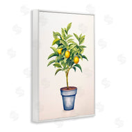 Andrea Haase | Citrus Serenade Plant